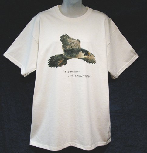 Special Edition Shirts