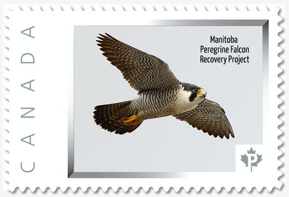 2017 Keepsake Stamp