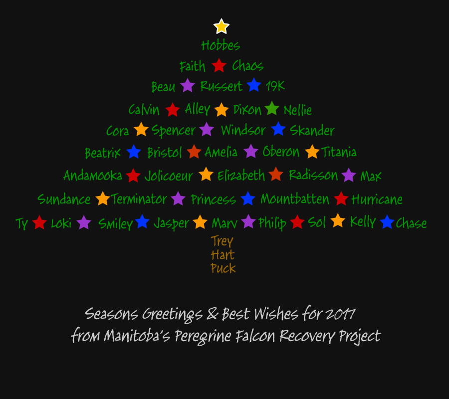 2016 Seasonal Greeting Card