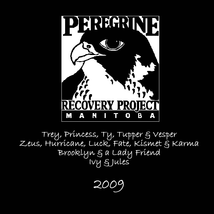 2009 shirt tag design