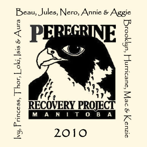 2010 shirt tag design